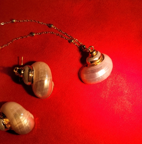 0288. New In Gift Box ~ Shells Dipped In GOLD! ~ Beautiful, FUN, Gold Trimmed - Picture 5 of 5